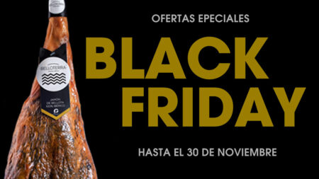 Ofertas especiales Black Friday